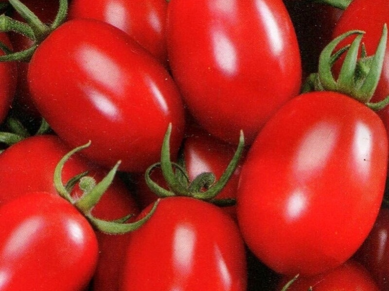 Вом креа продусул проприу!