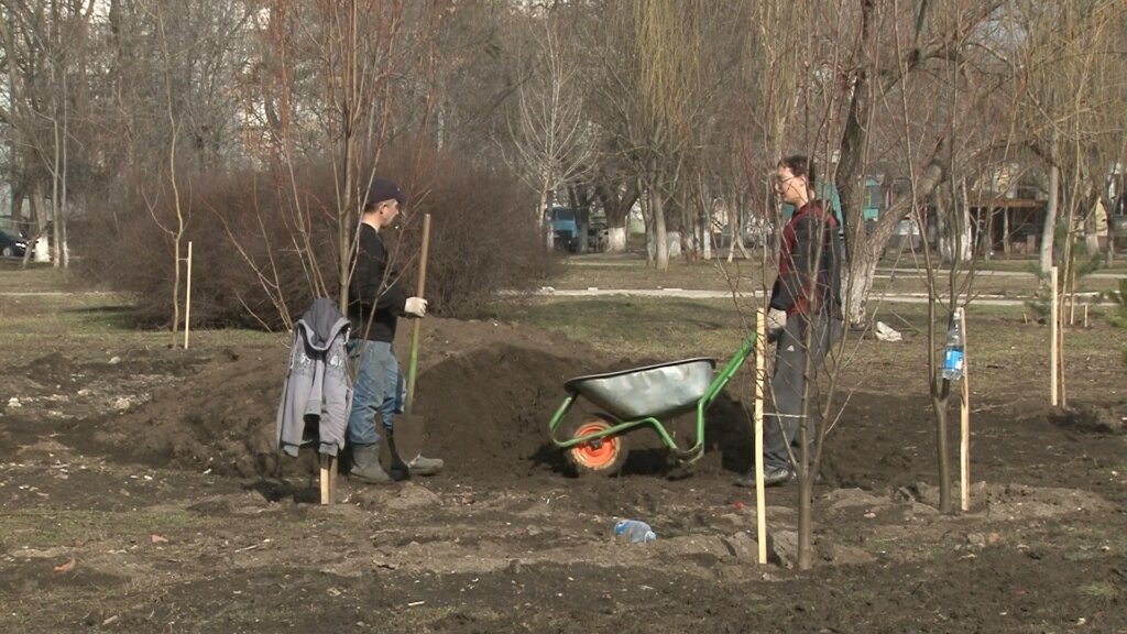 Бендер — ораш ал трандафирилор