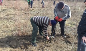 Тезаурул ностру комун – пэдуриле