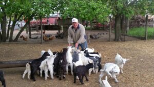 Продукэтор де еликсир ал тинереций …