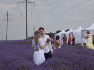 Провенца франчезэ сау…левэнцика дубэсэрянэ