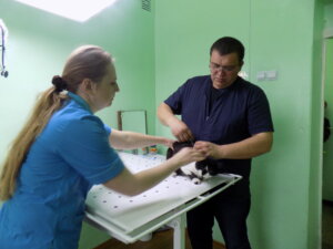 Ветеринарий ну-шь ынтрябэ пачиенций де че суферэ, ей штиу