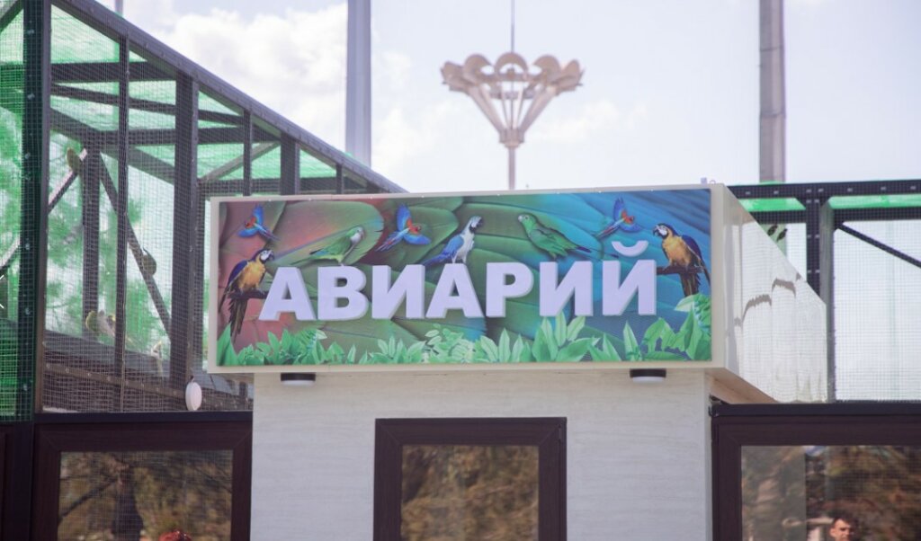 Букурие ши емоций