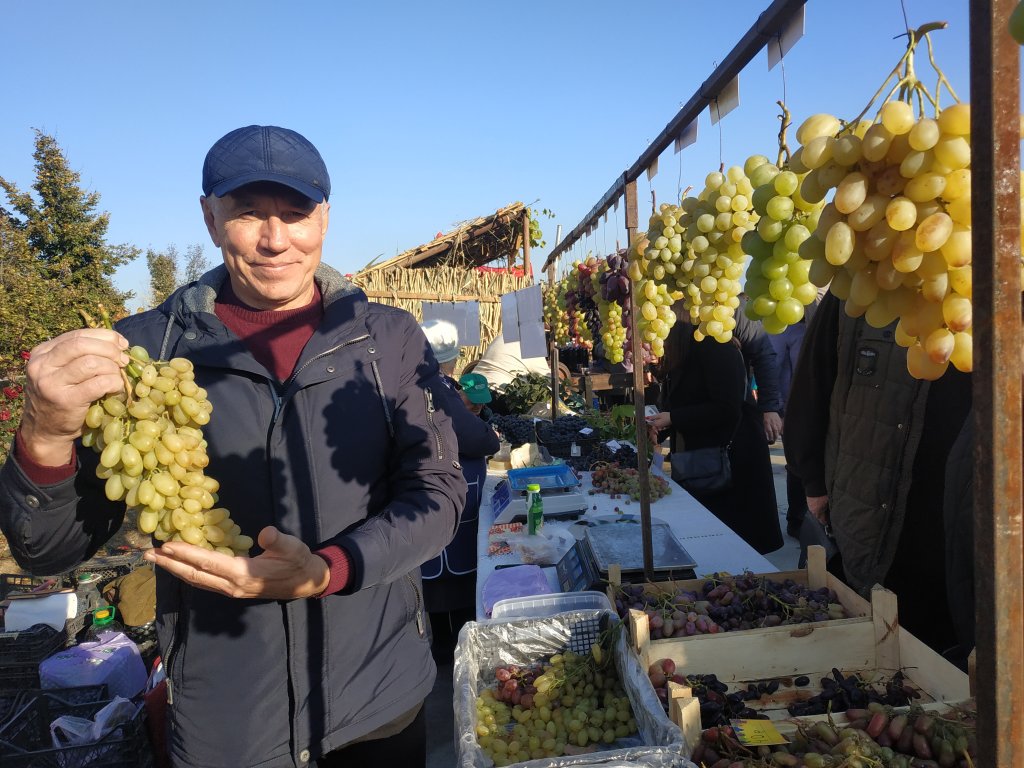 Господар дин нямул витикулторилор