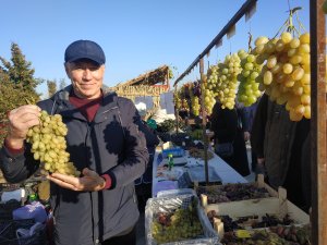 Господар дин нямул витикулторилор