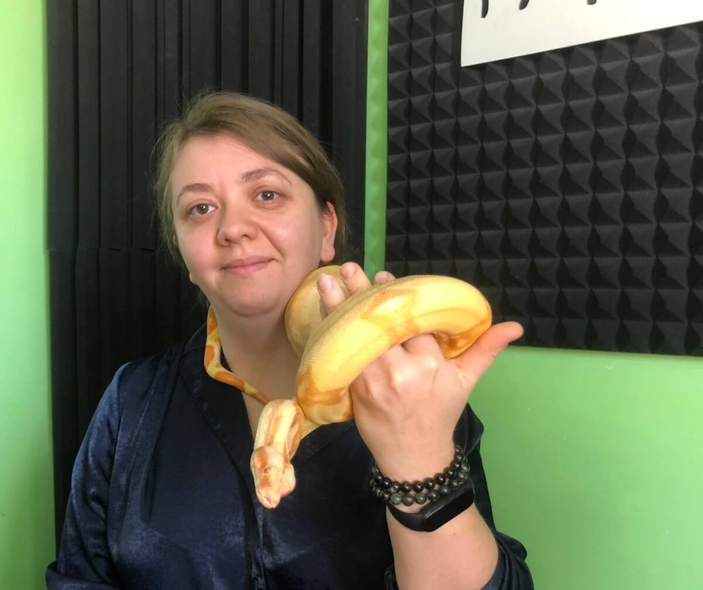 Екзотикэ акасэ