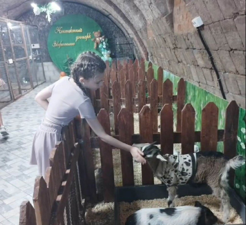 Вяца ын каптивитате