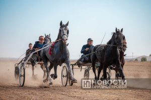 Ла трап, спре премиул маре