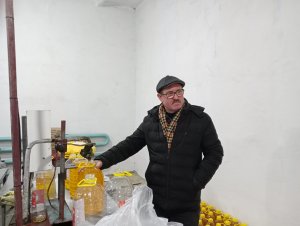 Улей фэрэ нич ун «Е»