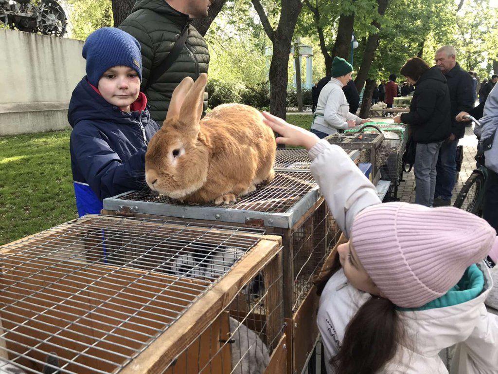Пэсэрь ши анимале пентру мик ши маре
