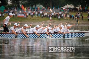 Нистрений пледязэ пентру ун стил де вяцэ сэнэтос