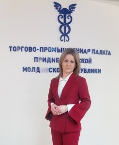 Ынвэцэм сэ иницием о афачере