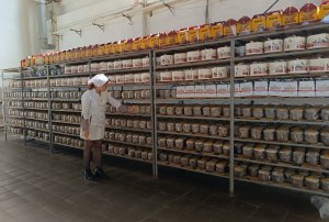 Арома сэрбэторилор паскале